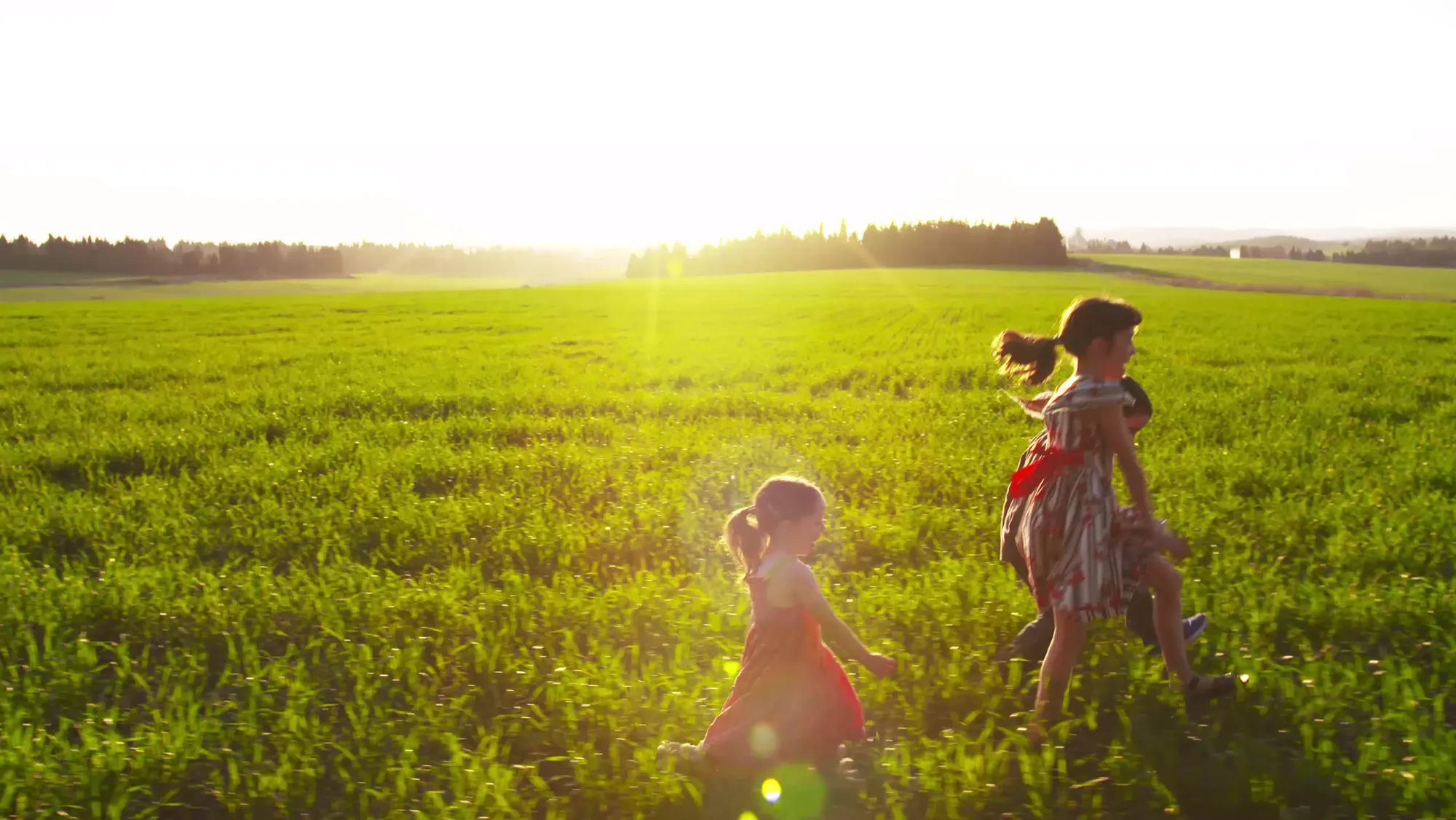 Drei Kinder laufen im tiefstehenden Abendlicht durch ein grünes Feld.
